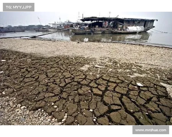 洞庭湖决堤口水位超,当地居民称“水淹家园,无力回天” 洞庭湖决堤口水位超,当地居民称“水淹家园,无力回天”