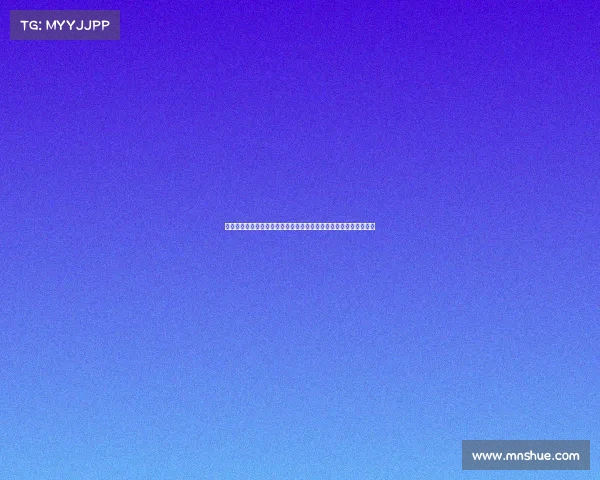 足协杯焦点之战：申花对决深圳新鹏城，费南多首亮相，援携手出战